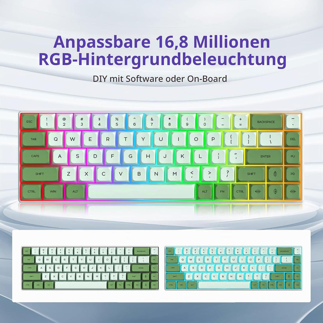 SOLIDEE Tragbare 65% mechanische Gaming-Tastatur,68 Tasten kompakte RGB LED-Hintergrundbeleuchtung,k