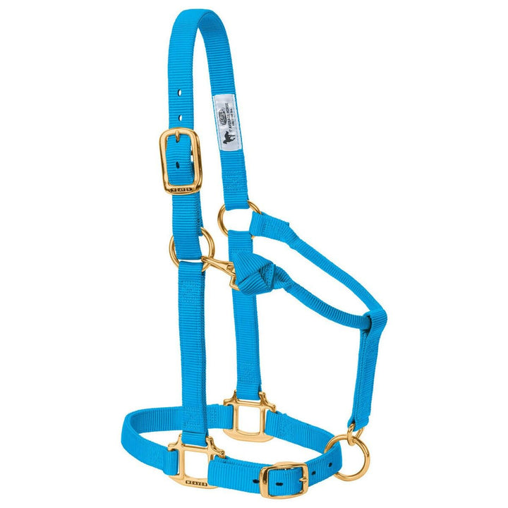 Weaver Leather Original verstellbares Nylonhalfter für Pferde L Horse Hurricane blau, L Horse Hurric