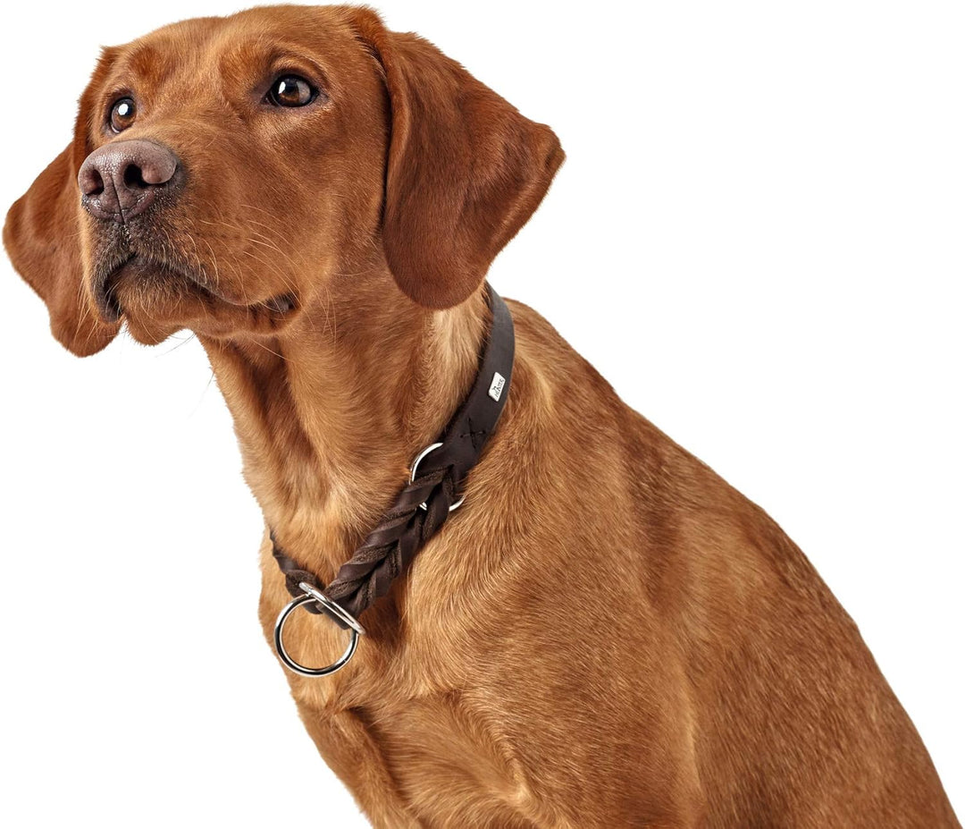 HUNTER SOLID EDUCATION Dressurhalsung für Hunde, Leder, weich, griffig, 45 (S-M), dunkelbraun dunkel