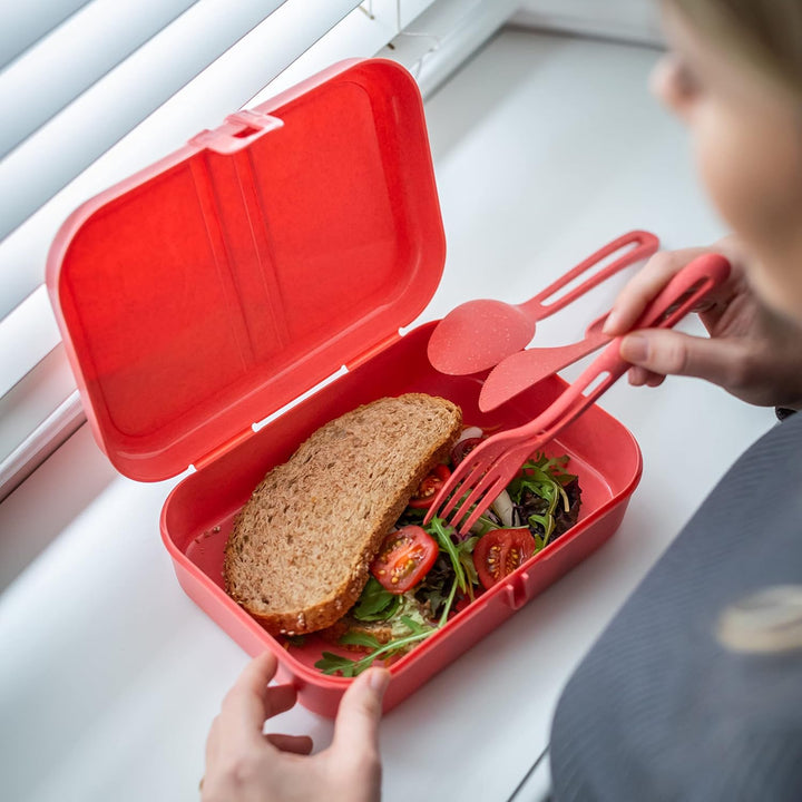 Koziol PASCAL L Lunchbox | mit herausnehmbarem Trennsteg, mit Clipverschluss | biozirkulärer Kunstst
