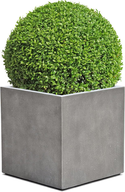 ESCHBACH® Pflanzkübel Cube 60 Beton Grau Quadratisch XL * 60 x 60 x 60 cm * 10 Jahre Garantie 60x60x