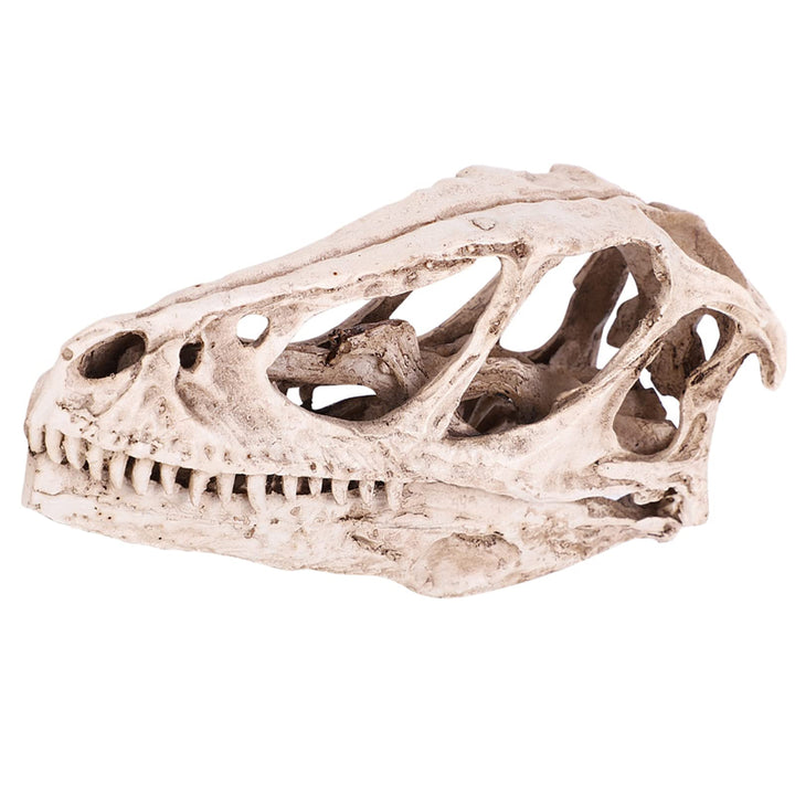 BRRNOO Dinosaurier-Knochen, Dinosaurier-Fossilien, Dinosaurier-Skelette, Modell, Simuliertes Tierske