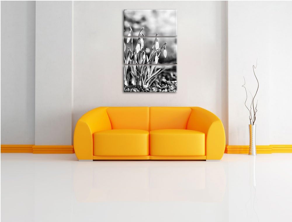 Pixxprint Schneeglöckchen am Waldrand als Leinwandbild/Grösse: 3 Teilig (120x80) cm/Wandbild/Kunstdr