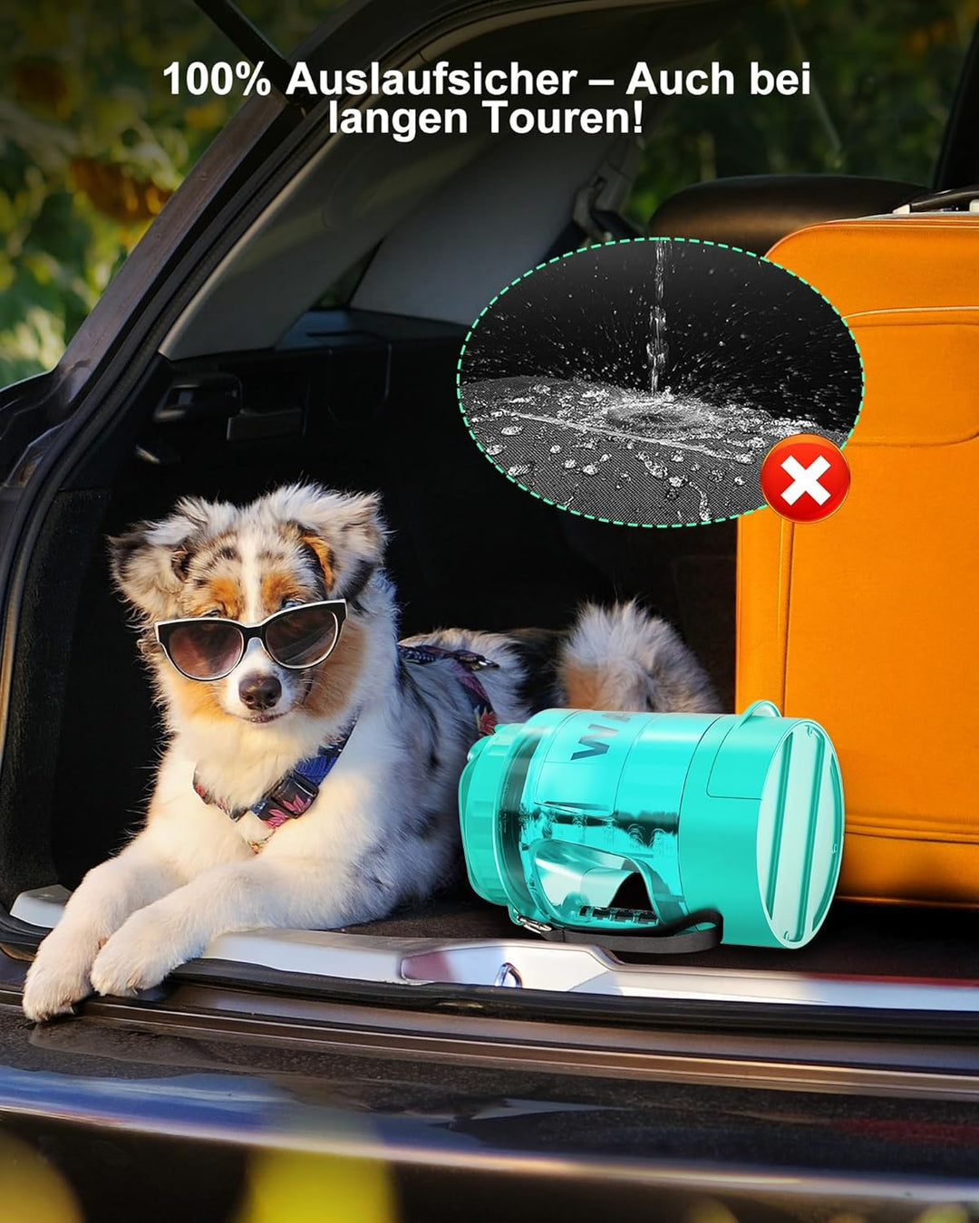 lesotc 2200 ml Trinkflasche für Hunde, Tragbare XXL extra grosse Hundetrinkflasche für unterwegs – C