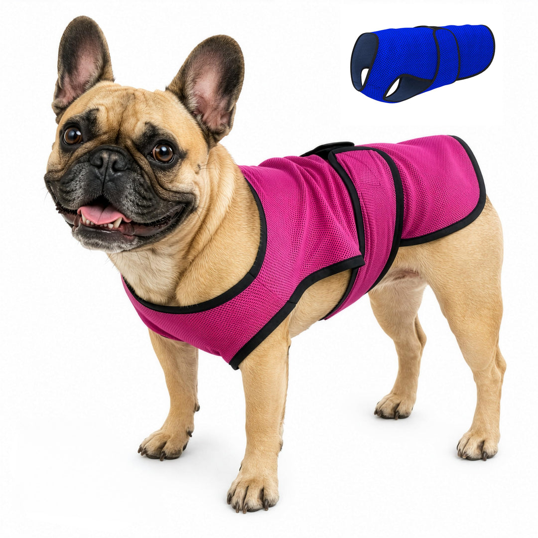 DOGZSTUFF Kühlweste für Hunde, leichte Jacke mit verdunstender Kühl-Mikrofaser-Technologie, UV-Schut