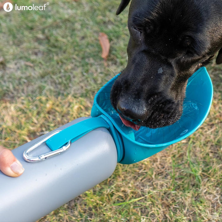 LumoLeaf Isolierte Edelstahl-Wasserflasche für Hunde, 800 ml – Hält Wasser stundenlang kühl oder war