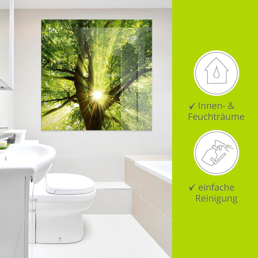 Glasbilder Wandbild Glas Bild einteilig 100x50 cm Querformat Wald Natur Botanik Bäume Laubbaum Sonne