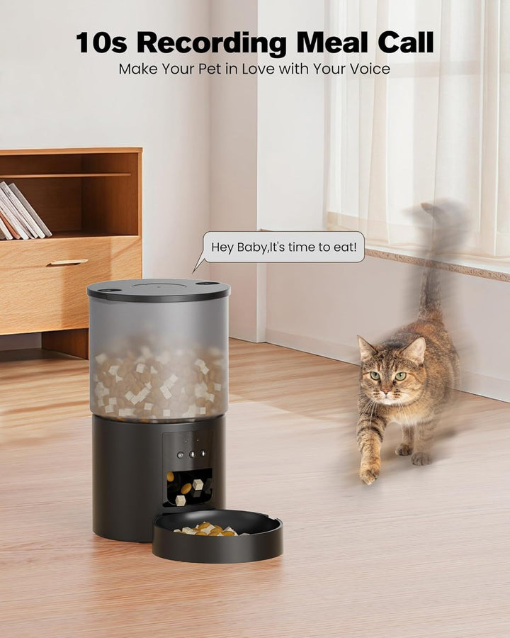 Futterautomat Katze Katzenfutter Automat WiFi: Futterspender Katze mit Massgeschneidert Zeitplan - A
