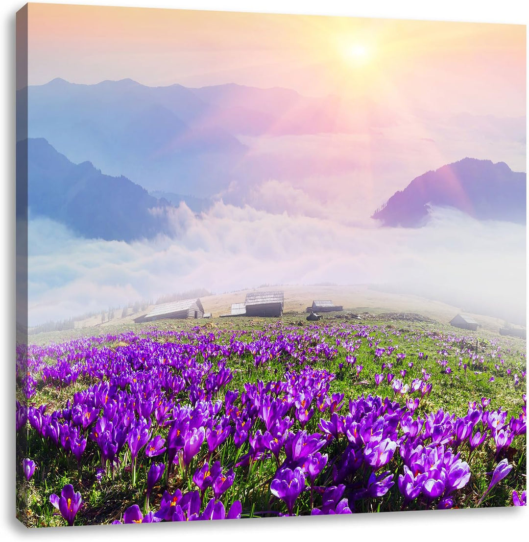 Pixxprint Krokusse in den Bergen / 70x70cm Leinwandbild bespannt auf Holzrahmen/Wandbild Kunstdruck