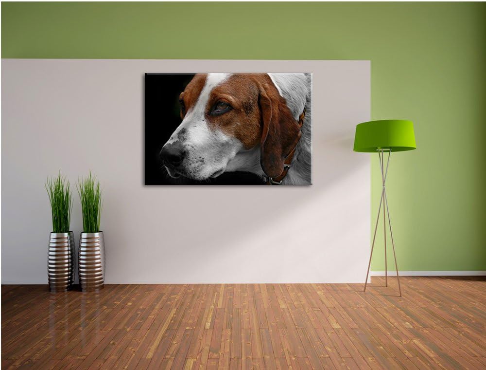 Dark hübscher Hund im Seitenprofilauf Leinwand, XXL riesige Bilder fertig gerahmt mit Keilrahmen, Ku