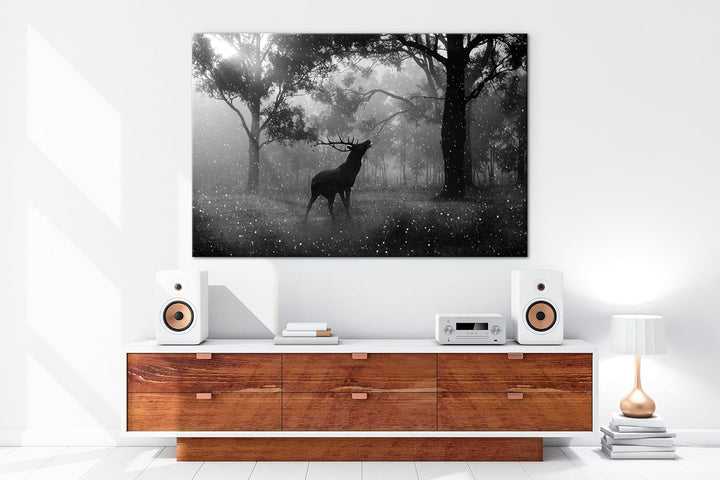 deyoli einsamer Hirsch im Wald Effekt: Schwarz/Weiss Format: 60x40 als Leinwandbild, Motiv fertig ge