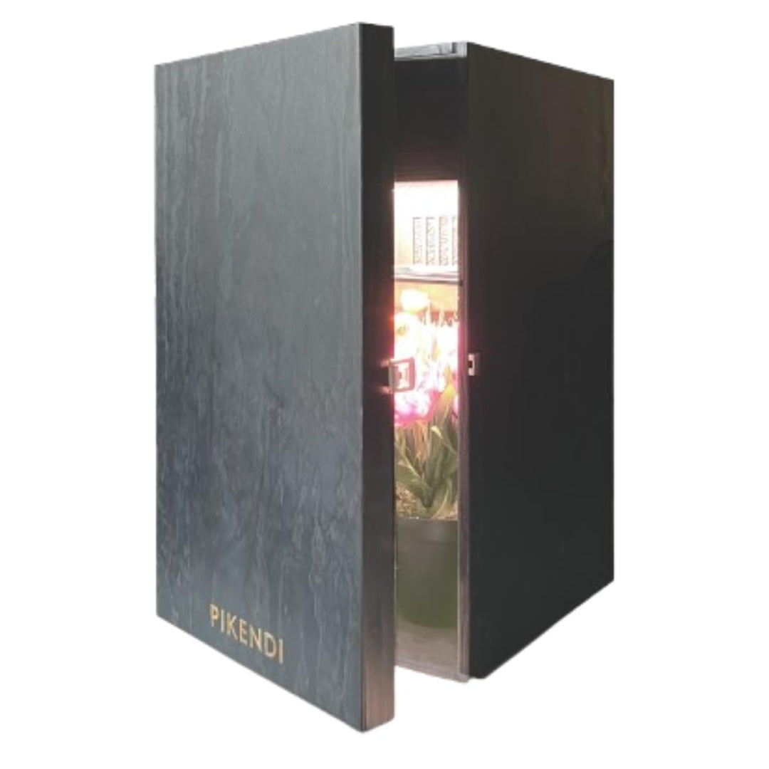 Bonsanto Pikendi Premium Schwarz Mini Grow Box, Komplett Set mit leisem Aktivkohlefilter & 35W LED,