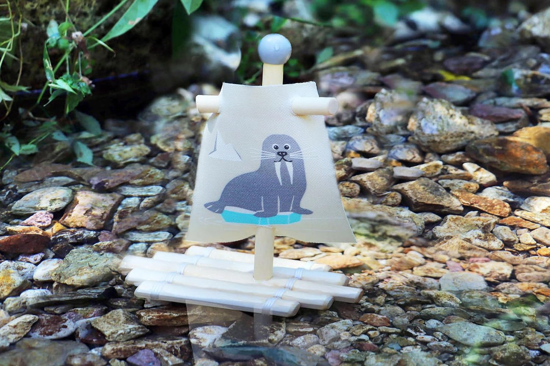 small foot 11660 Wasserspielzeug Floss Walross aus Holz, Badespielzeug fürs Wasser, für Kinder ab 24