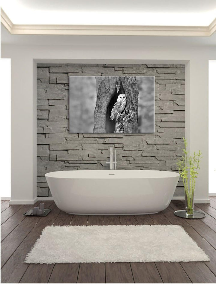 Pixxprint Schleiereule Baumhöhle / 100x70cm Leinwandbild bespannt auf Holzrahmen/Wandbild Kunstdruck