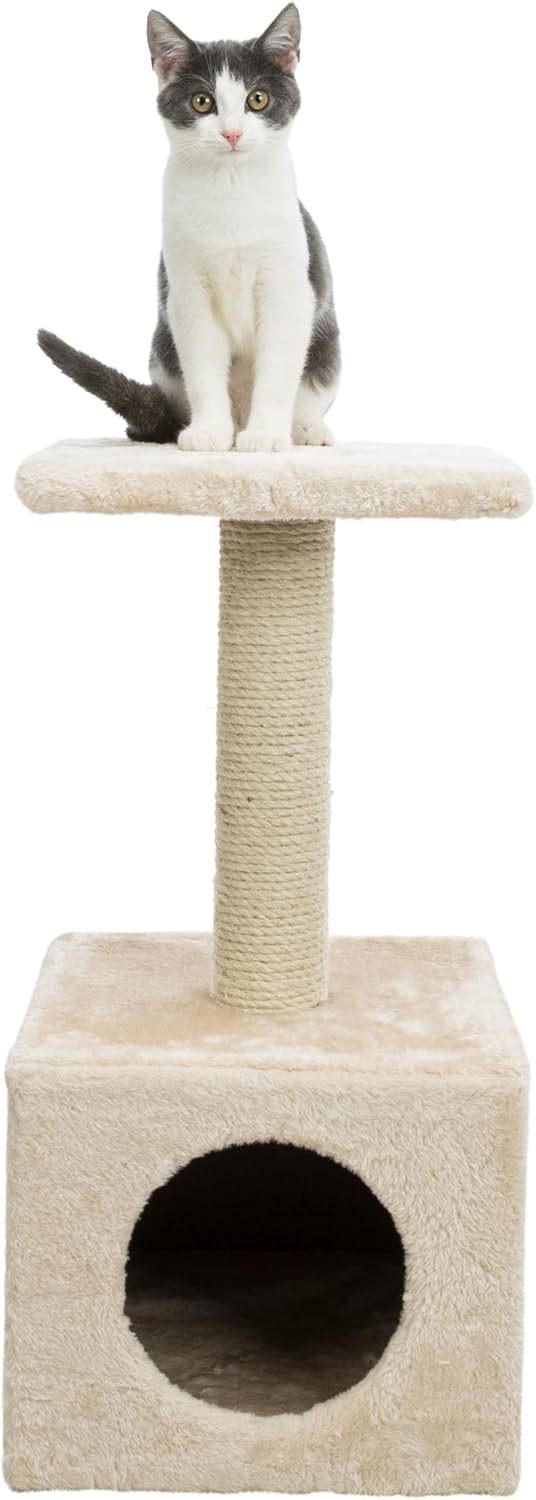 Trixie 43351 Kratzbaum Zamora, 60 cm, beige Zamora, Kätzchenbaum, beige, Zamora, Kätzchenbaum, beige