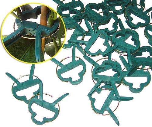 Pflanzen Clips & - Binder stabile Pflanzenclips Pflanzenklammern für kleine & grosse Triebe Spaliere