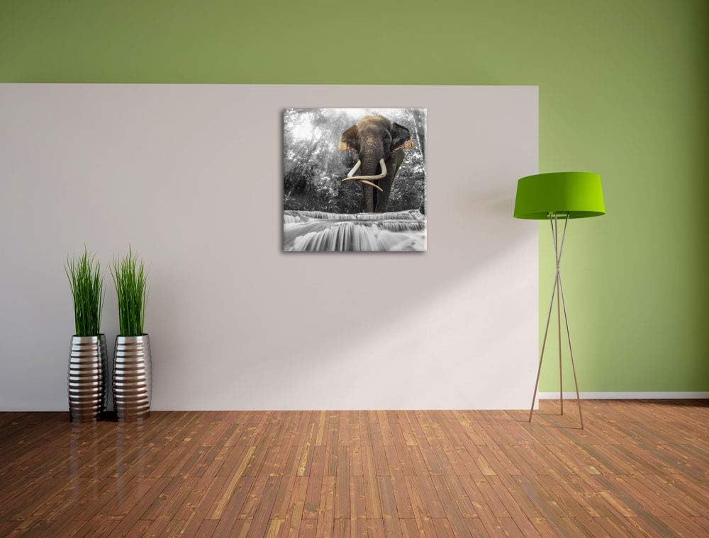 Pixxprint riesiger Elefant am Bach als Leinwandbild | Grösse: 70x70 cm | Wandbild | Kunstdruck | fer