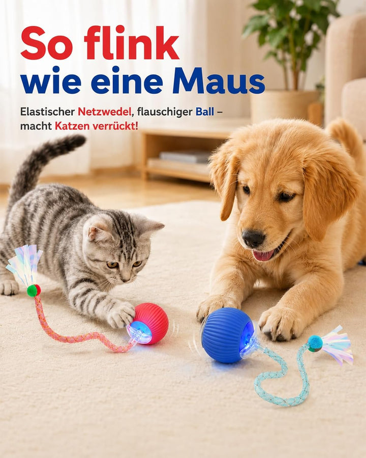 Interaktives Katzenspielzeug 2 Stück elektrisch Ball LED 3 Spielmodi | Ball mit Schwanz,selbstbeschä