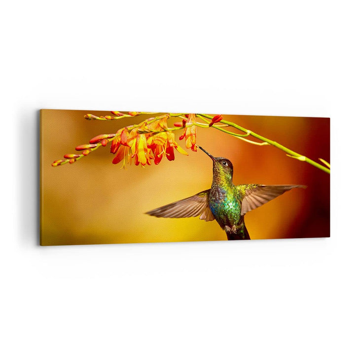 Wandbilder Dekoration Wohnzimmer Kolibri Vogel Sommer Panorama Bilder auf Leinwand 120x50cm Leinwand