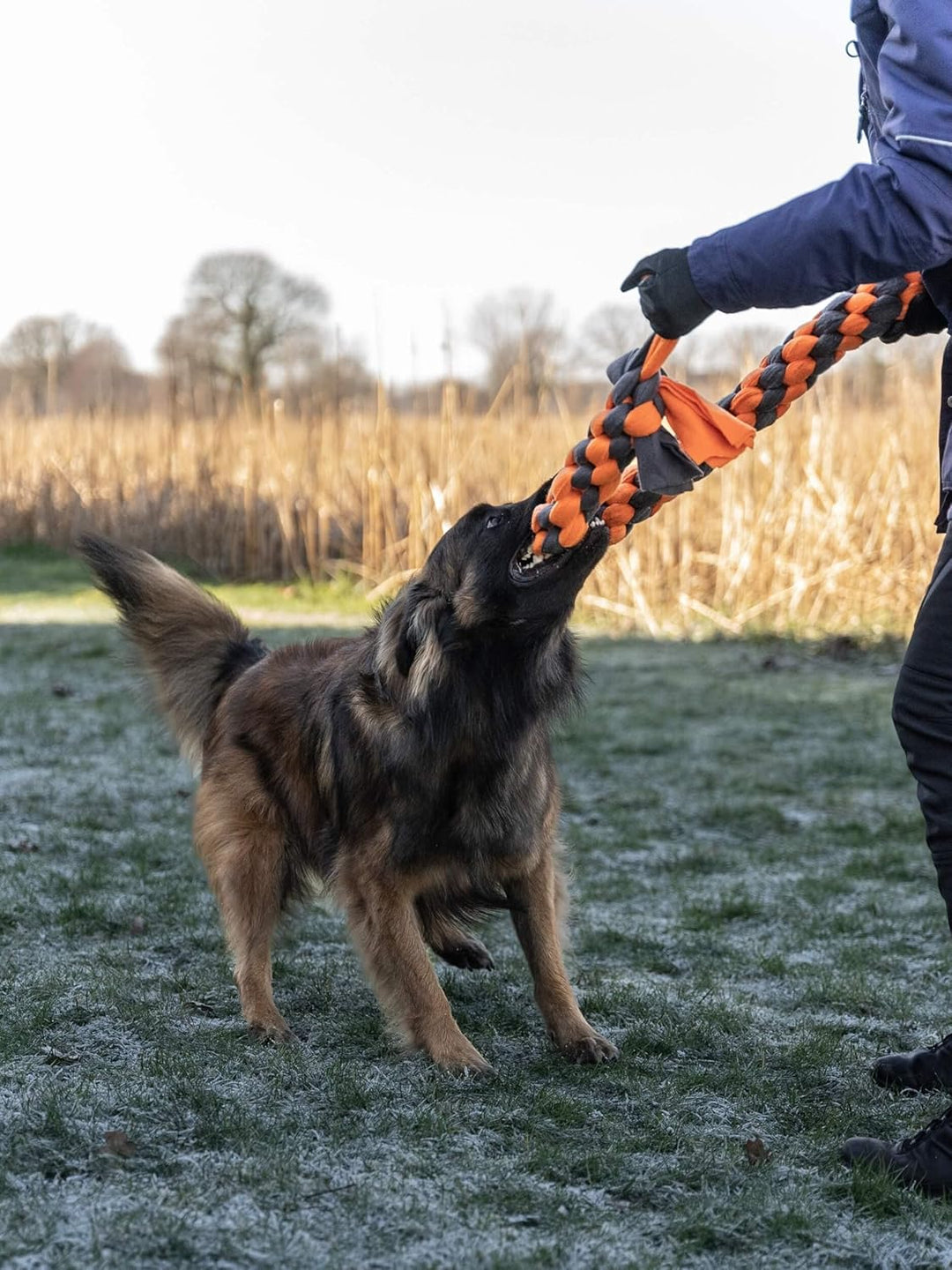TrendPet Zergel, Zerrspielzeug, Spielzeug für Hunde (6,0x60cm), 6,0x60cm