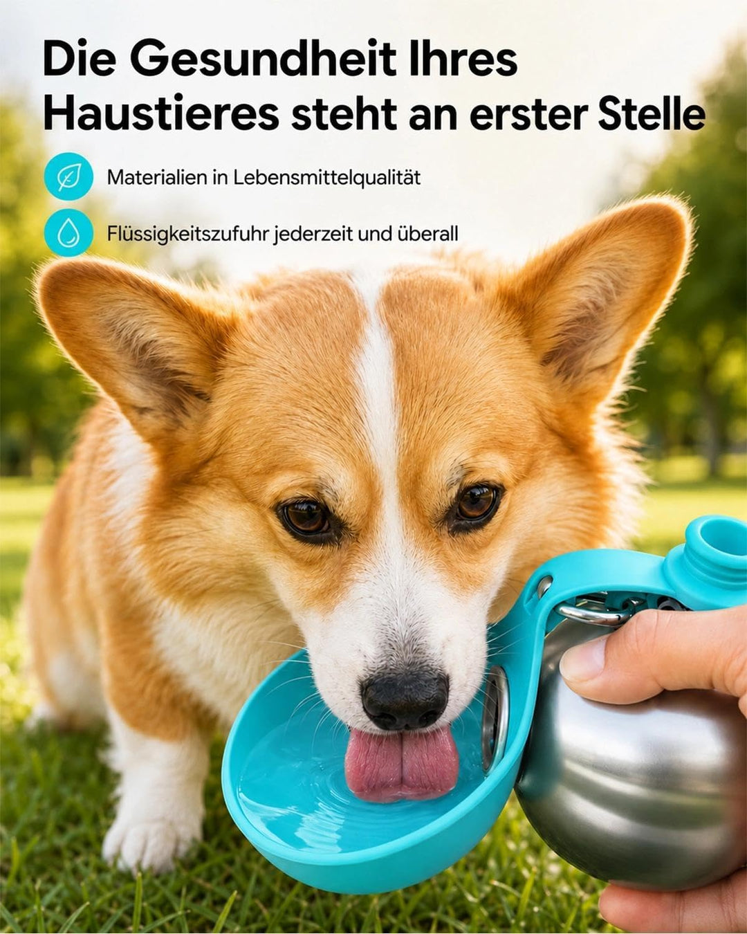 Trinkflasche Hunde für Unterwegs, 285 ml Edelstahl Hundetrinkflasche,Kompakte & Auslaufsichere Wasse
