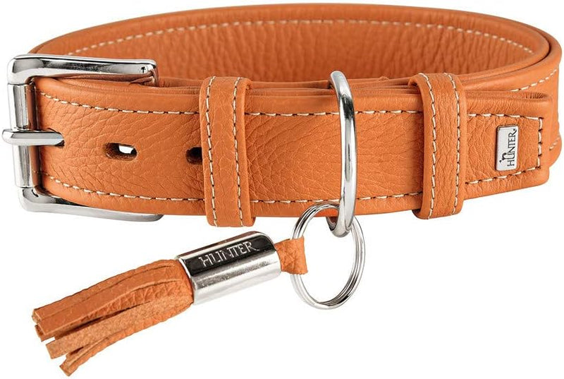 HUNTER CANNES Hundehalsband, Leder, Nappaleder, weich, edel, elegant, 45 (S), orange 45 (S) orange,