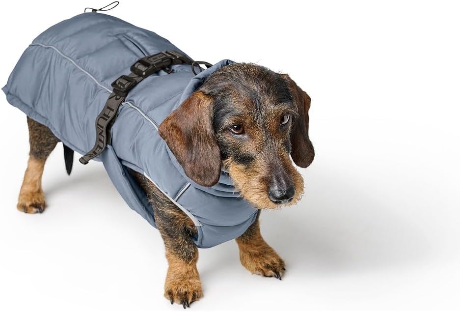 HUNTER Hundemantel Paxson Dachshund, Farbe: taubenblau, wasserabweisend & warm gefüttert, idealer We