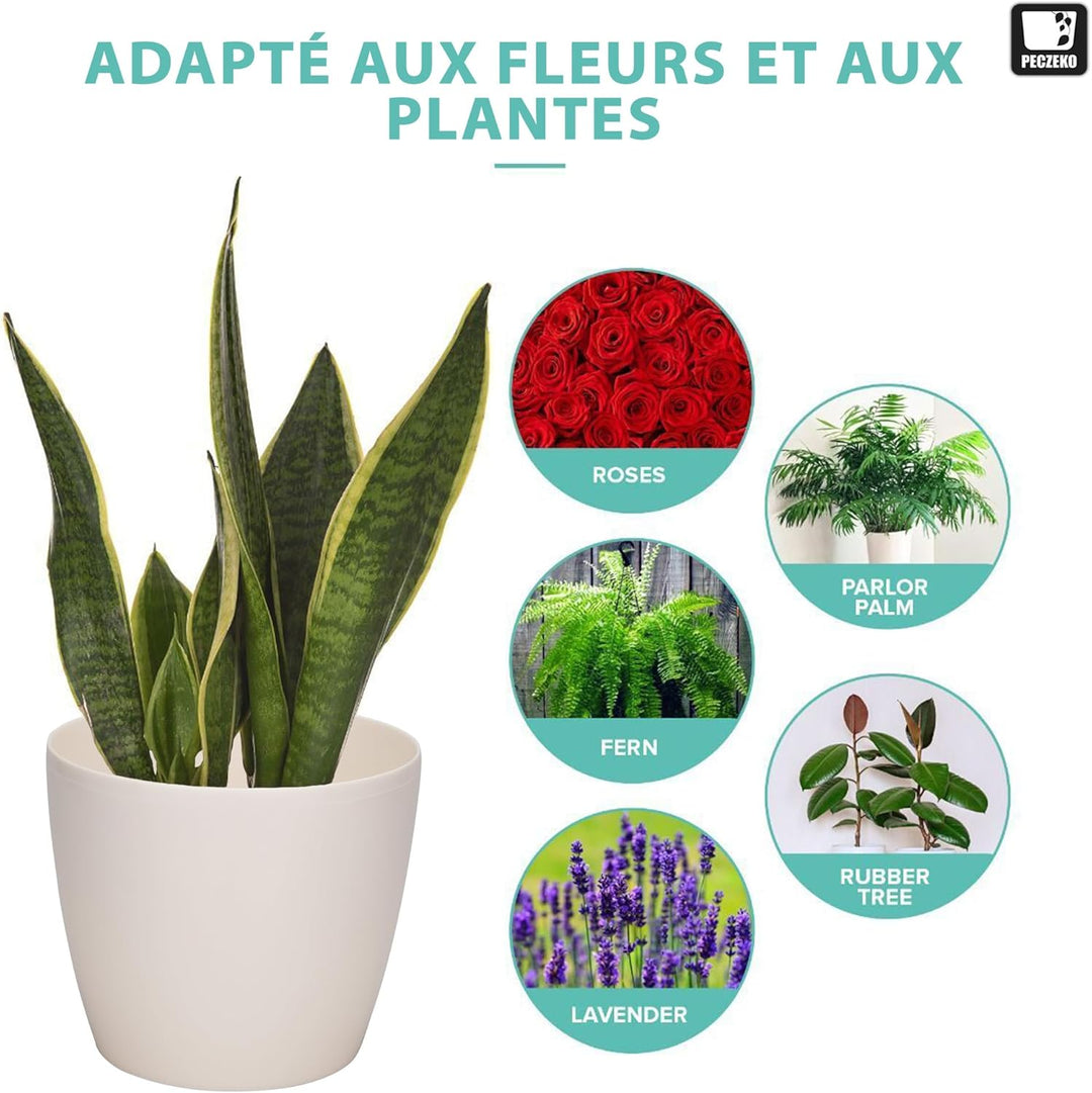 PECZEKO Glänzende Blumentöpfe - Deko Pflanztopf für Blumen & Kräuter - Langlebige & leichte runde Ku