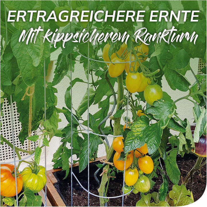 bellissa – Tomaten Rankhilfe aus Stahl 180cm 3er Set verzinkt – Tomatenturm Rankgitter für Tomaten,