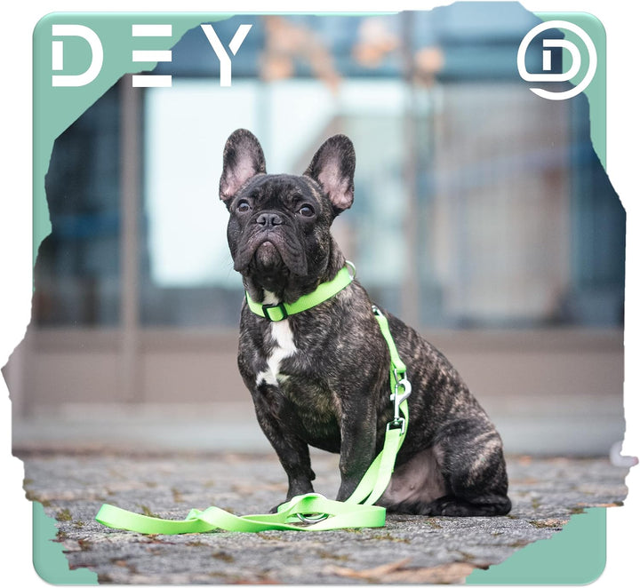 DEY - Premium Hundeleine Nylon 2m | 3fach Verstellbar | für Kleine, Mittelgrosse u. Grosse Hunde | v