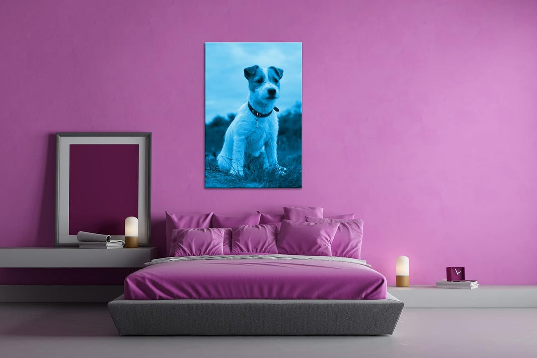 deyoli süsser Jack Russell Terrier Format 80x60 Effekt: Monocrome Blau als Leinwandbild, Motiv ferti
