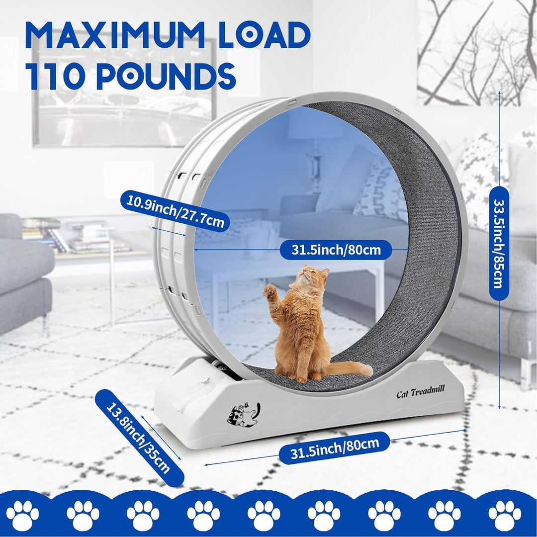 homegroove 31,5 Zoll Katzenräder für Indoor-Katzen, Plastik Katze Übung Laufband Rad mit Teppich Sta