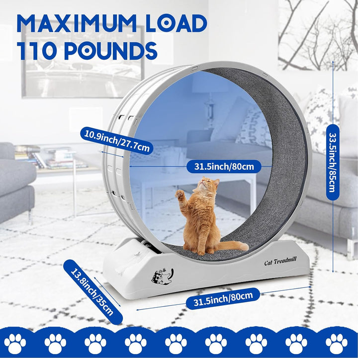 homegroove 31,5 Zoll Katzenräder für Indoor-Katzen, Plastik Katze Übung Laufband Rad mit Teppich Sta