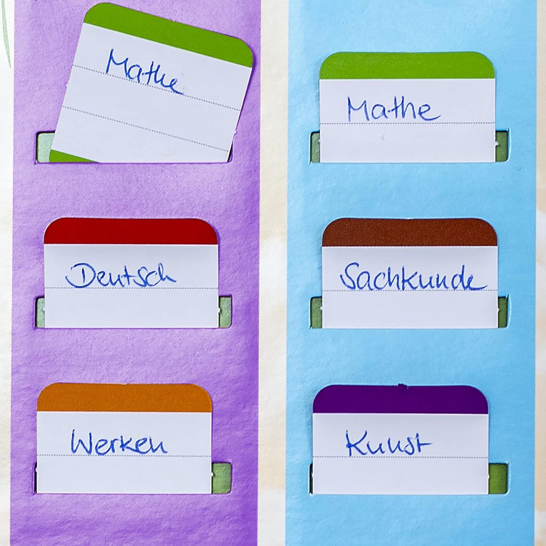 ROTH Klipp&Klar Stundenplan Steck Fix - Tyrannosaurus, A3 - ideal für Jungen in der Grundschule, Din