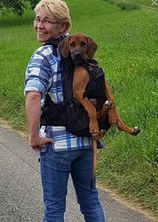 Dog Carrier T2 Rucksack für Hunde von 9 bis 16kg als Hunderucksack/Hundetrage/Hundetasche/m. integri