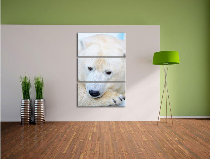 Pixxprint Nachdenklicher Eisbär 3-Teiler Leinwandbild 120x80 Bild auf Leinwand