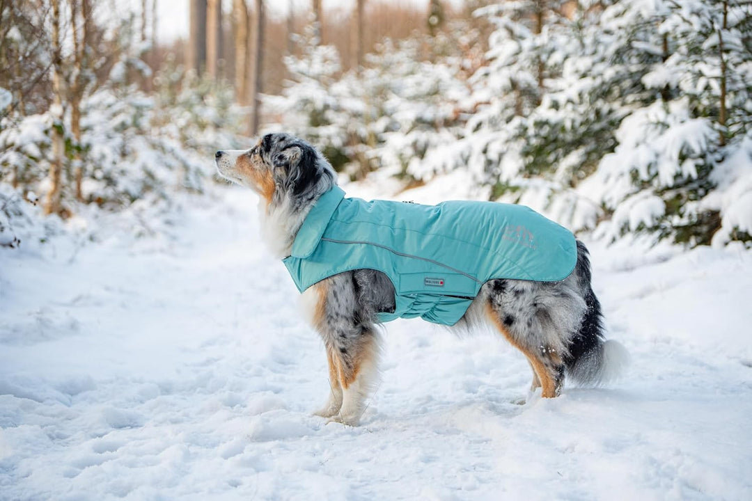 Wolters Wolters Skijacke Dogz-Wear | Wintermantel für Hunde | Farbe Türkis | Grösse 60 (Rückenlänge