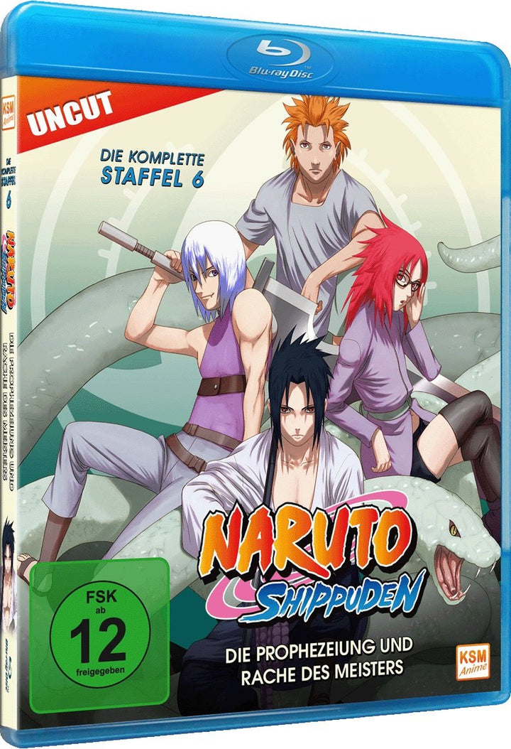 Naruto Shippuden - Staffel 6: Folge 333-363 - Die Prophezeiung und Rache des Meisters (Uncut) [Blu-r