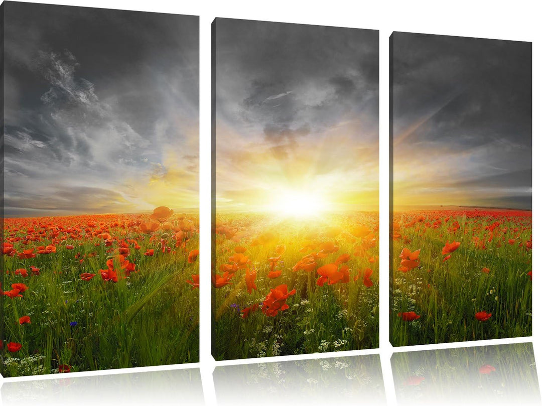 Pixxprint Mohnwiese in der Sonne als Leinwandbild/Grösse: 3 Teilig (120x80) cm/Wandbild/Kunstdruck/f