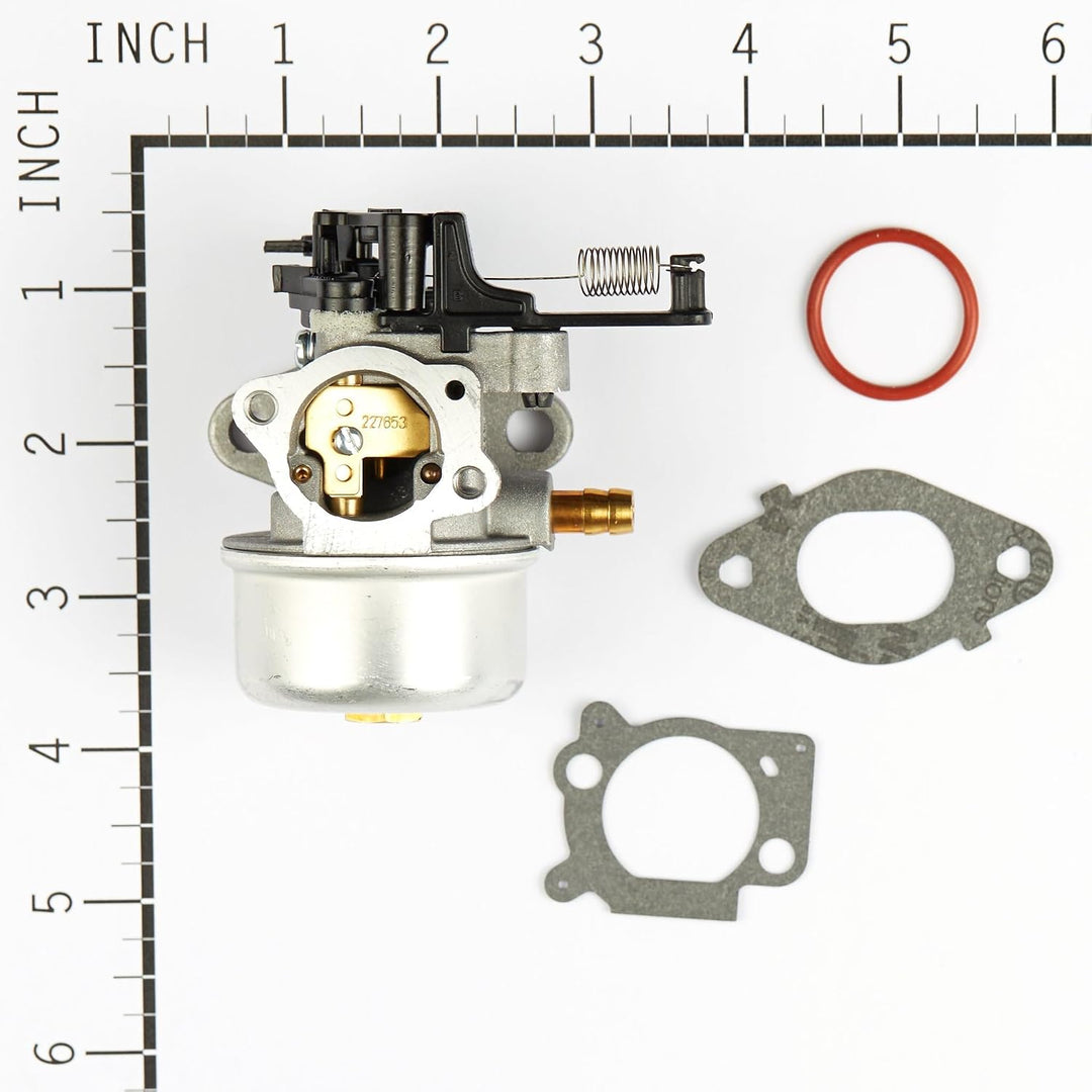 Briggs &amp; Stratton 591137 Vergaser 590948