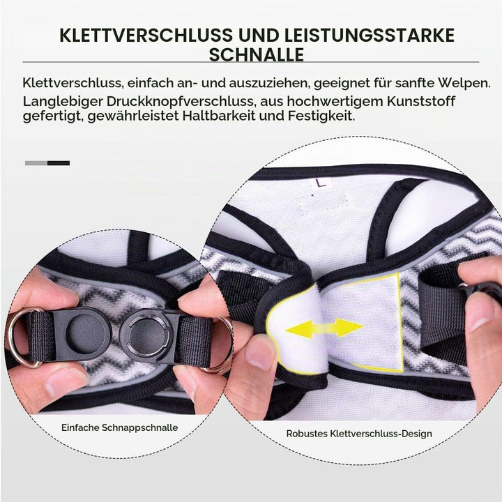 Hundegeschirr mit Leine Anti Zug Geschirr Reflektierend Brustgeschirr für Kleine Hunde, Haustiere, W