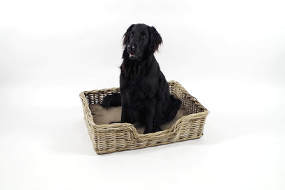 Kobolo Hundekorb Hundesofa aus stabilem Rattan geflochten inkl. Kissen 81x62x21 cm