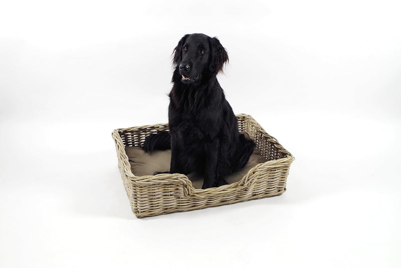 Kobolo Hundekorb Hundesofa aus stabilem Rattan geflochten inkl. Kissen 81x62x21 cm