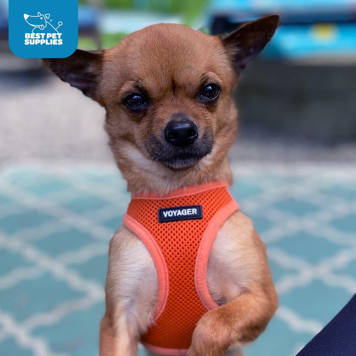 Voyager Step-In Air Hundegeschirr by Best Pet Supplies - All Weather Mesh Step in Vest Harness für k