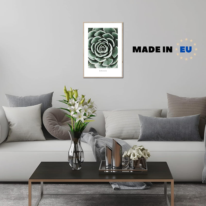 STYLER Rahmenbild Echeveria | Artbox Wandbild | Bild mit Holz Rahmen Optik Framepic | Pflanze aus Me