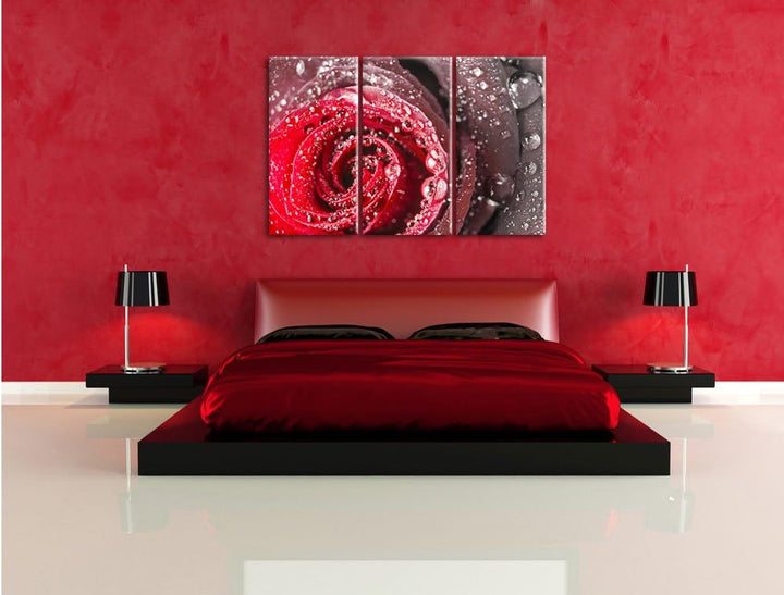 Pixxprint Rose mit Wassertropfen als Leinwandbild/Grösse: 3 Teilig (120x80) cm/Wandbild/Kunstdruck/f