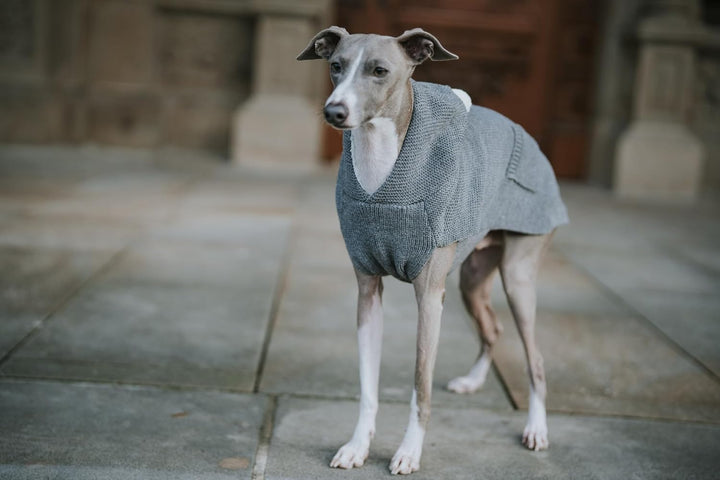 HUNTER RÖGLA Hundepullover, Strickpullover, weich, mit Kapuze, 25, grau grau 25, grau 25
