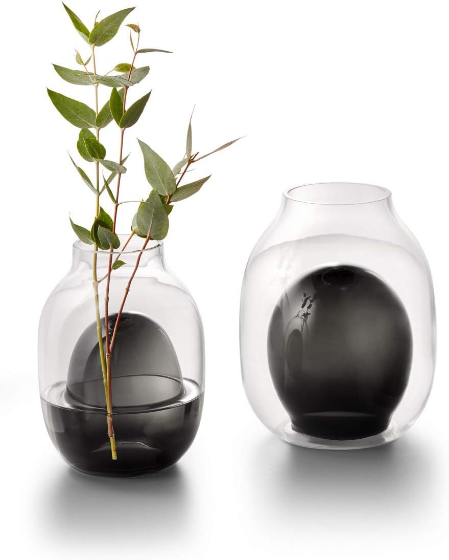 Philippi - Louisa Vase S - 19 cm (h) 14 x 14 x 19 cm Transparent / Schwarz, 14 x 14 x 19 cm Transpar