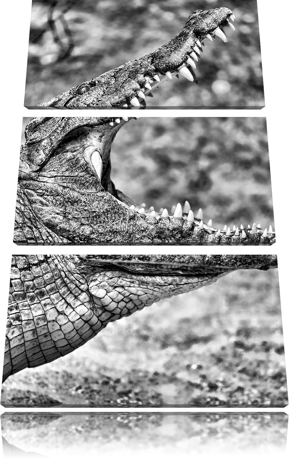 Pixxprint Monocrome, gewaltiges Krokodil 3-Teiler Leinwandbild 120x80 Bild auf Leinwand