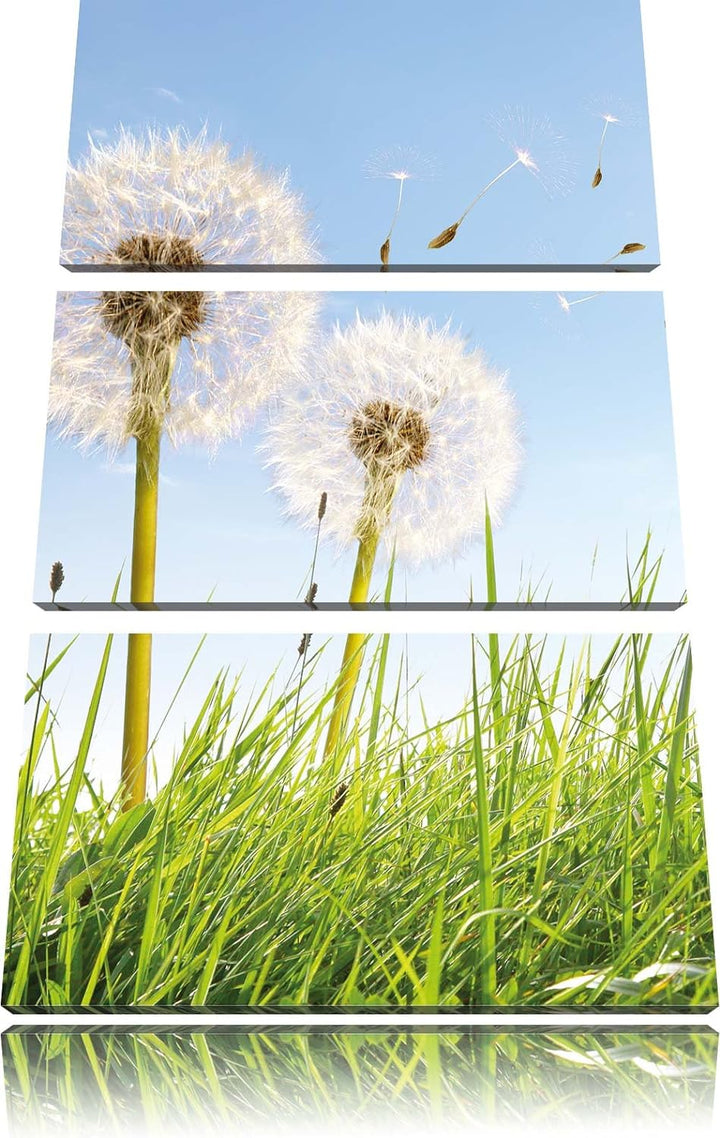 Pixxprint Pusteblumen auf sonniger Frühlingswiese 3-Teiler Leinwandbild 120x80 Bild auf Leinwand